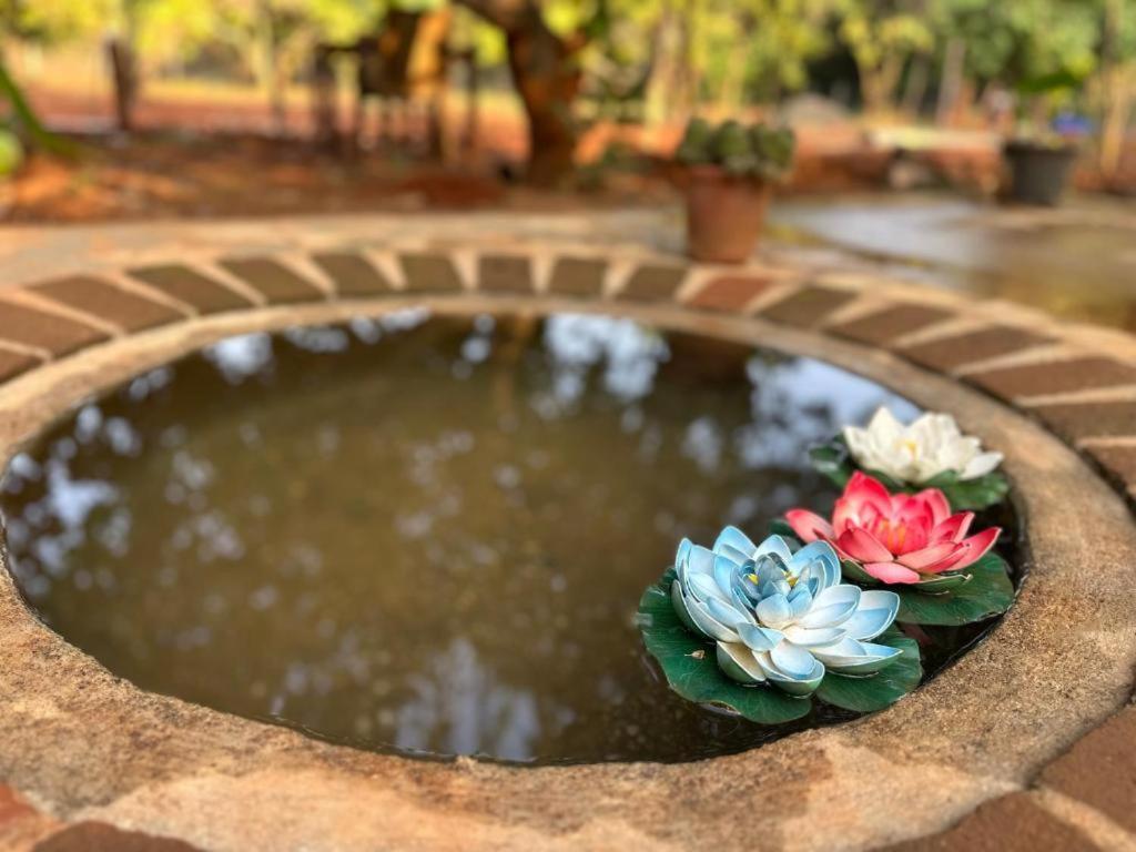Lotus Garden Guest House 黎明之村 外观 照片
